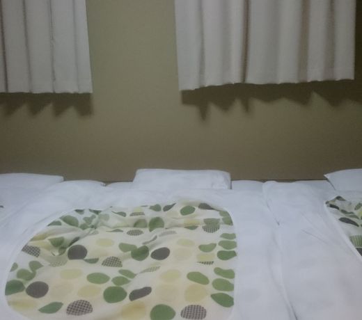 Business Hotel Hayashiso
