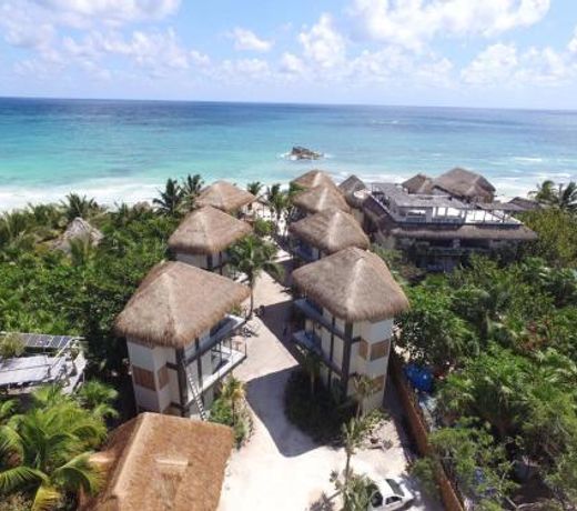 Roc Jungle Tulum