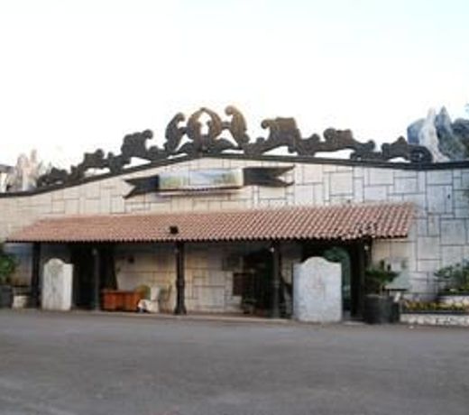 Amazon Resort