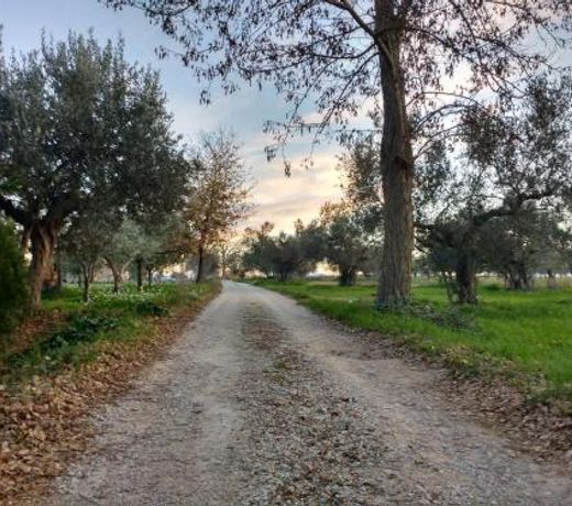 Casale Re di Coppe