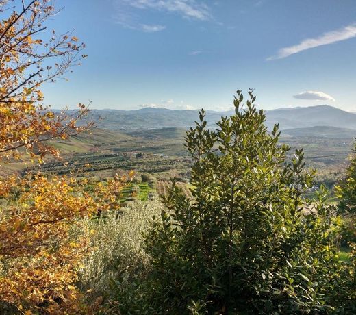 Casale Re di Coppe