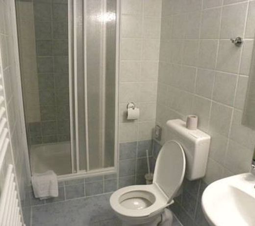 Hotel Äerny Orel Å½atec
