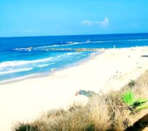 Short Term Apartment Tel Aviv Bat Yam 411