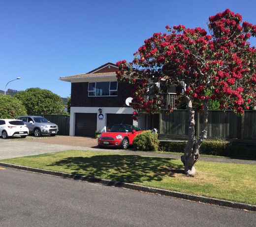 Rotorua Studio on Sumner