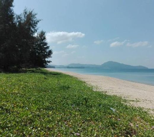 Maikhao Beach Guest House