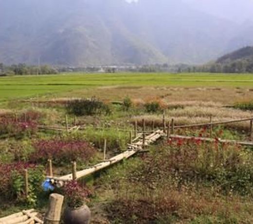 Ume Mai Chau Eco Homestay