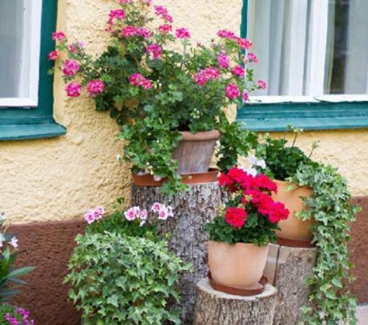 Ferienwohnung Alpenblick