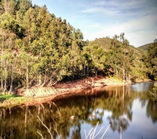 Quinta Alma - Ecological Retreat Farm