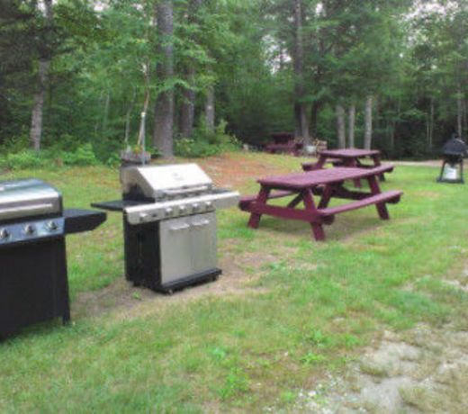 Evergreen Valley Inn