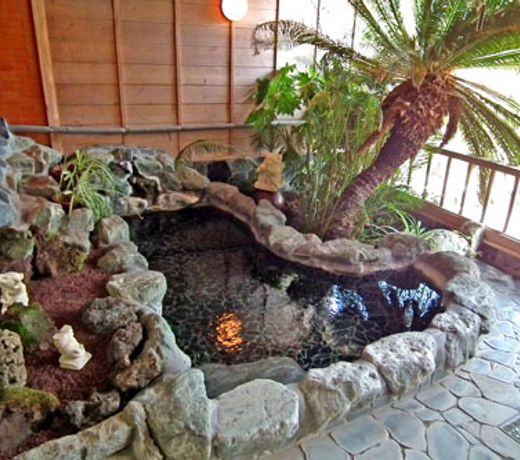 Dog Friendly Asian Resort Umiyado Taiyobito
