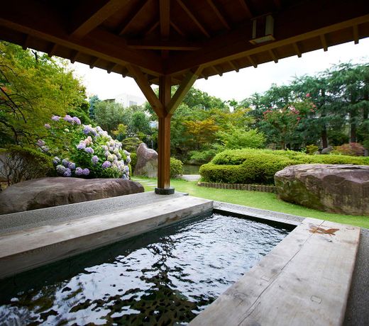 Ooedo Onsen Monogatari Hotel Shinko