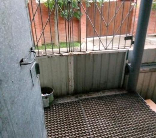 Guest House Rodnichok