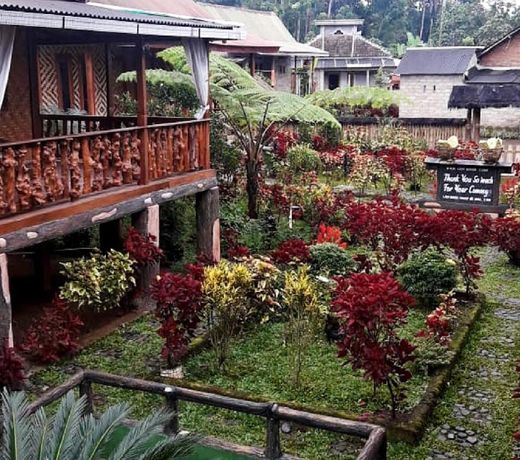Ijen Miners Homestay