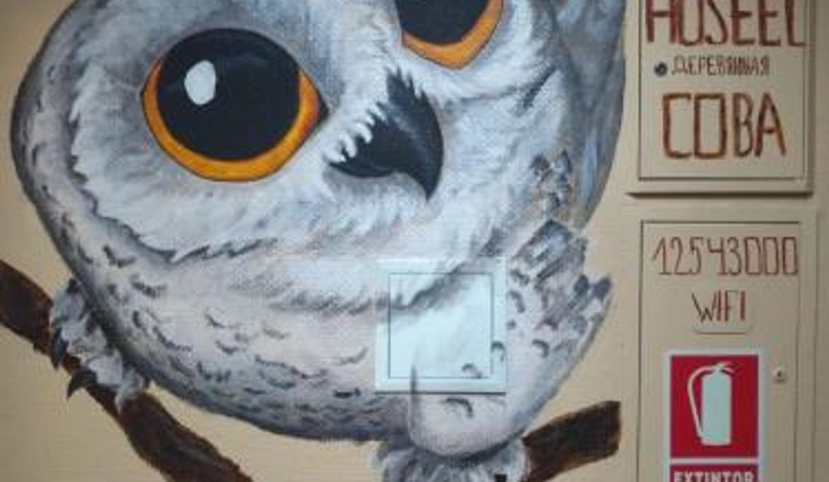 Hostel Wood Owl