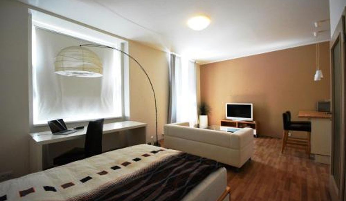 Apartment near Wenceslas Square