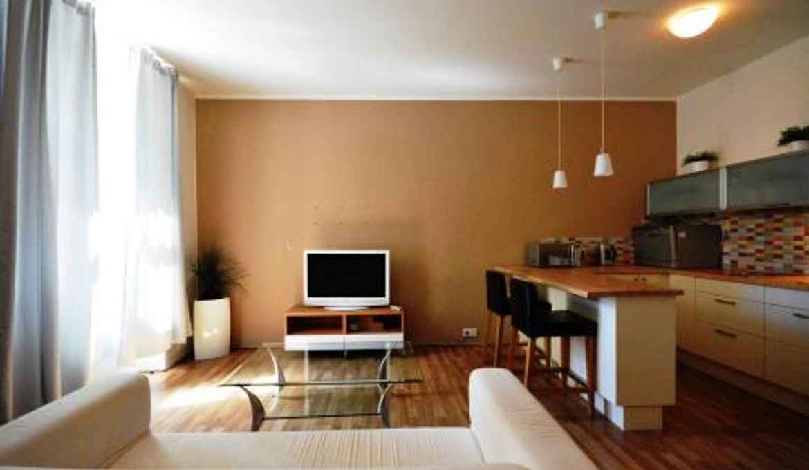 Apartment near Wenceslas Square