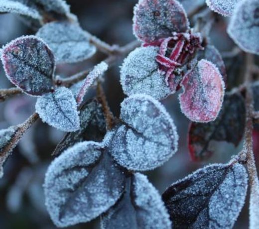 Il Borgo delle Stelle