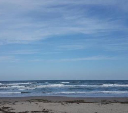 B&B Verrazzano affittacamere