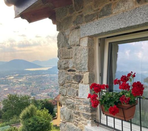 Il riccio di Ricciano