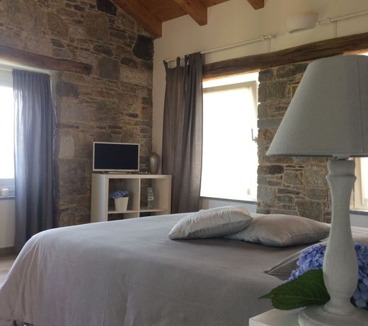 Il riccio di Ricciano