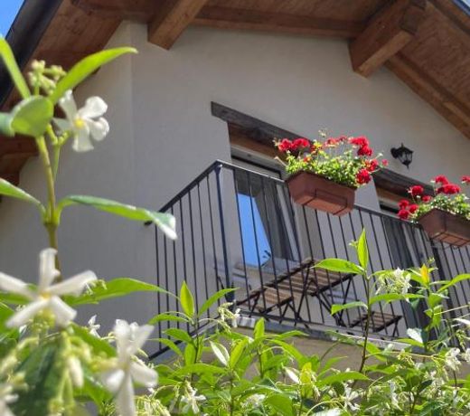 Il riccio di Ricciano