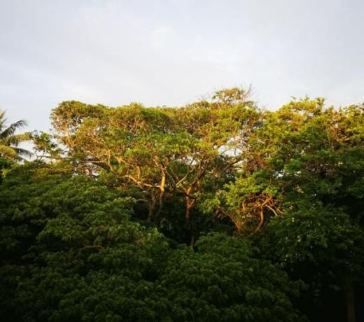 Serendib Village Guest House