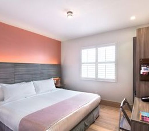 The Julia (Adult Exclusive)