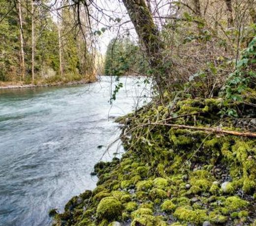 Molalla River Cottage