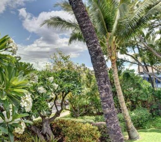 Kihei Akahi A104