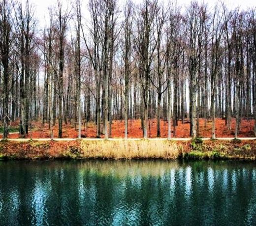 African heritage Tervuren