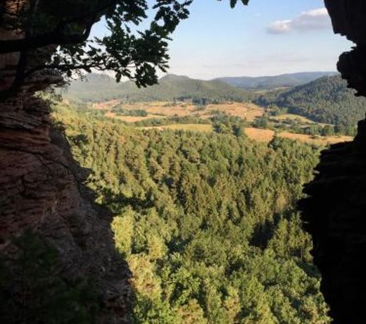 Fewo-Franca