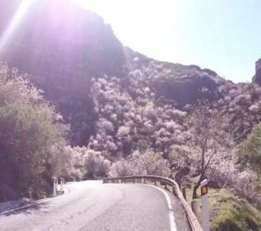 Casa Rural Las Cascaras Tejeda Gran Canaria