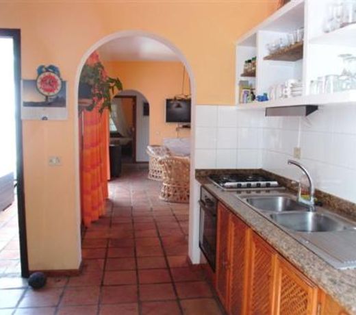 Casa Finca Avocado