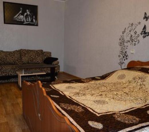 Apartment on Chkalova 42