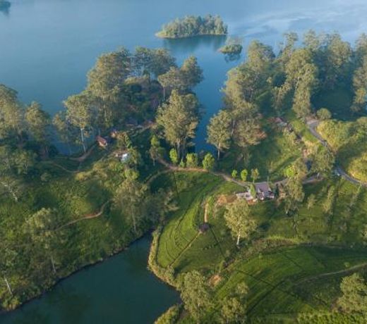 The Farm Resorts