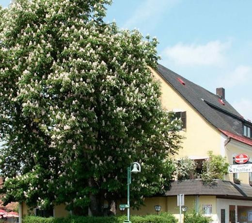 Gasthof Thaller