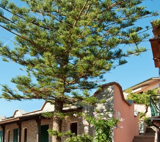Hotel Casa Rosa