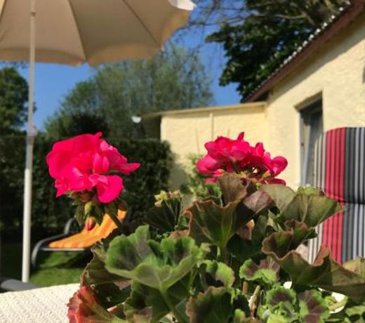 Zum Nordstrand