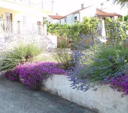 Guest House Jasmin