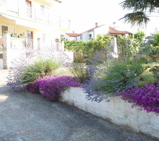 Guest House Jasmin