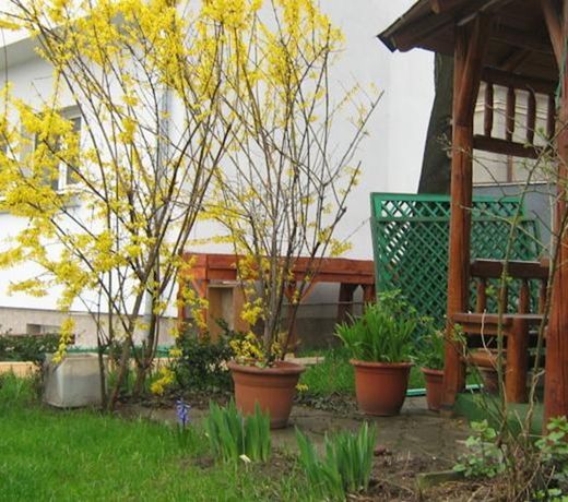 Foisor Residence