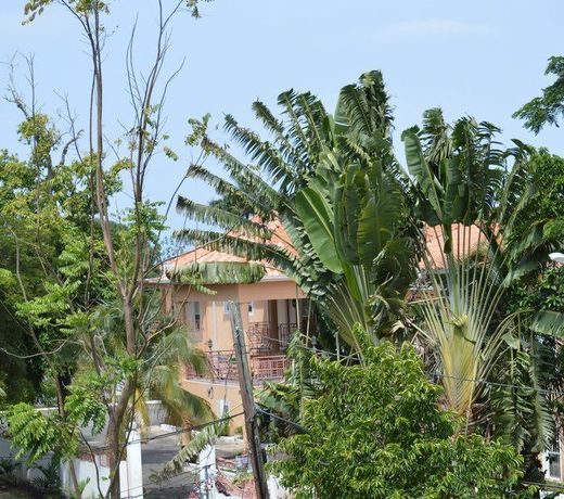 Casa de Shalom
