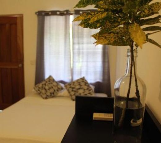 Cabinas Playa Surf Hostel