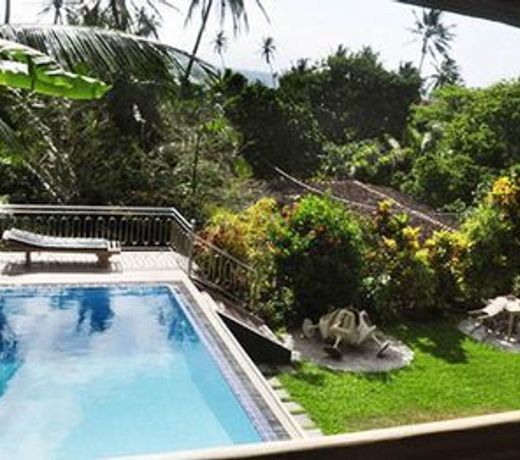 Little Paradise