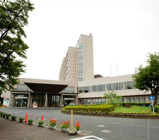 KAMENOI HOTEL Ichinoseki