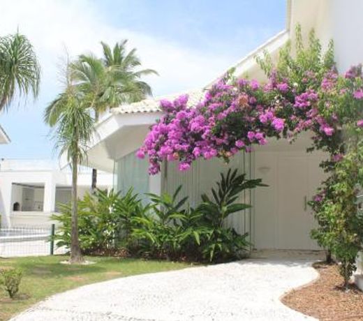 Bougainville I PeruÃ­be