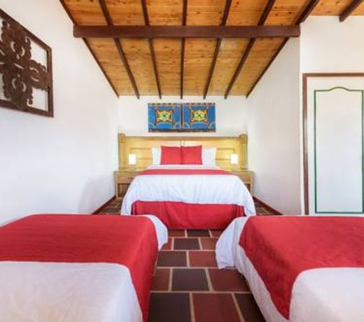 Hotel Zocalo Campestre