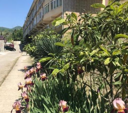 Guest-house Svirskoe Uschelye