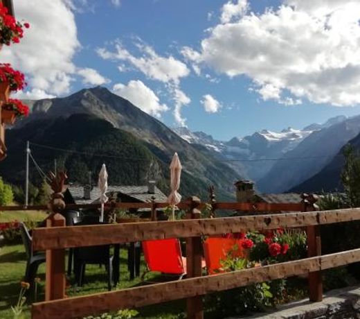 Petites Fleurs Cogne