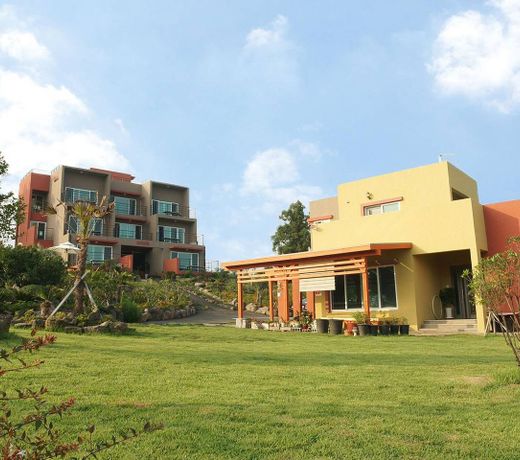 Oasis Pension